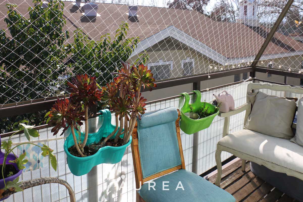 Dpto. Larraín – La Reina