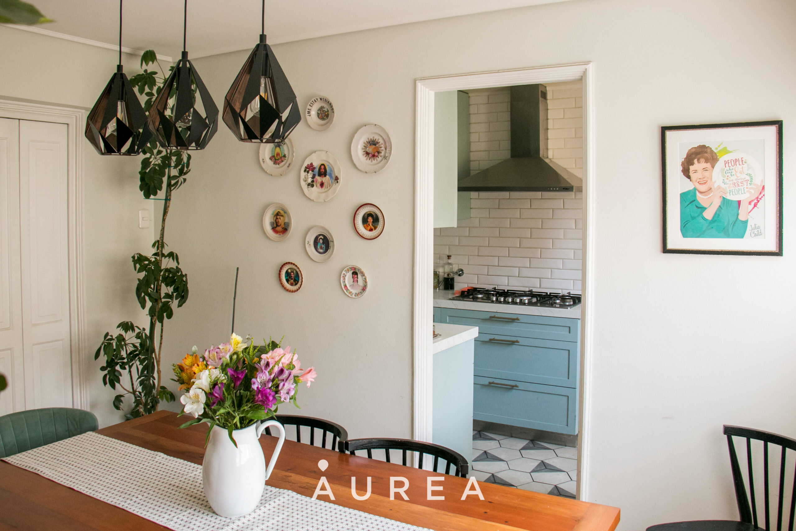 Dpto. Holanda – Providencia